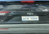 NEW YORK! NEW YORK EXCELSIOR