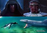 Revan art by Corbin Hunter Tenebrae rendered in SWTOR Penguin and leopard seal photo