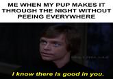 ME WHEN MY PUP MAKES IT THROUGH THE NIGHT WITHOUT PEEING EVERYWHERE @big_t_little_o.d.d I know there is good in you.