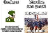 Cadians Mordian iron guard F--- CAMOUFLAGE E We use tan and green to be camouflaged in most environments WE DIE IN DRIP
