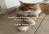 well well hooman you finally came... now feed me