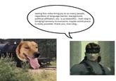 seeing this video bring joy to so many people, regardless of language barrier, background, political affiliation, etc. is so beautiful... train dog is bringing harmony to everyone. maybe world peace is really possible. thank you, train dog...