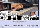 WOAHAAHAHAh.jpg 171 KB JPG "AAAAAAAAAAAAA W-- ITS COMING RIGHT AT US"