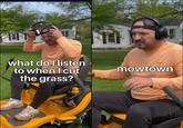 what do I listen to when I cut the grass? mowtown 271