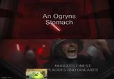 imgflip.com An Ogryns Stomach ADMECH RELICS NURGLES FINEST PLAGUES AND DISEASES