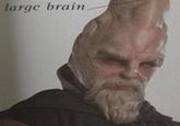 large brain