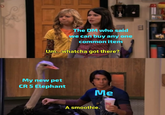 The DM who said we can buy any one common item Um...whatcha got there? My new pet CR 5 Elephant Me A smoothie. E