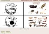 Anonymous 12/22/25(Mon)19:35:59 No.83460018 2.96 MB JPG >bug, land >bug, ocean 4