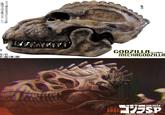IPPRESE H 司法 ריז GODZILLA AGAINST MECHAGODZILLA シンギュラポイント A-SP GODZILLA SINGULAR POINT