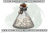 WHAT MY CENTAUR CHARACTER SAW IN A MAGIC MIRROR THAT SHOWS OLD AGE imgflip.com