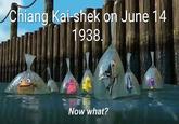 Chiang Kai-shek on June 14 1938. Now what?