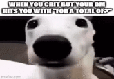 WHEN YOU CRIT BUT YOUR DM HITS YOU WITH "FOR A TOTAL OF?" imgflip.com