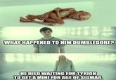 WHAT HAPPENED TO HIM DUMBLEDORE? Imgflip.com HE DIED WAITING FOR TYRION TO GET A MINI FOR AGE OF SIGMAR.