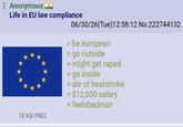 Anonymous ❤ Life in EU law compliance 18 KB PNG 06/30/26(Tue)12:58:12 No.222744132 > be european > go outside > might get r---- > go inside > die of heatstroke > $12,000 salary > feelsbadman