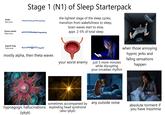 Awake Beta waves Drowsy, relaxed Alpha waves Stage 1 (N1) of Sleep Starterpack the lightest stage of the sleep cycles, transition from wakefullness to sleep, brain waves start to slow, appr. 2-5% of total sleep Stage N1 sleep Theta waves www mostly alpha, then theta waves your worst enemy just 5 more minutes while disrupting your circadian rhythm when those annoying hypnic jerks and fallng sensations happen sometimes accompanied by any outside noise hypnagogic hallucinations exploding head syndrome (iykyk) (also iykyk) absolute torment if you have insomnia