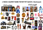 <<I NEED A QUIRKY NAME FOR MY PET QUICK!» Starterpack If it's a boy If it's a girl OVERORED 5500 NO.1 Dorites E