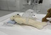 10out of body ¥2,500 体を体験した大 犬は寝ていると体が透けて自由に動けるよう になりました。部屋中を飛んで回ったり歌をう たったひとり楽しむと満足して自分の体 …なんだったんだろう? のクラスに ハートがロから