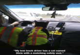 "My tow truck driver has a cat named Dixie with a matching safety vest."