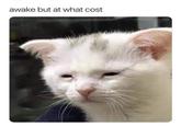 awake but at what cost