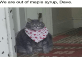 We are out of maple syrup, Dave.