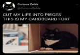 Curious Zelda @CuriousZelda CUT MY LIFE INTO PIECES THIS IS MY CARDBOARD FORT