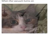 When the vacuum turns on