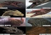 SMAUG DROGON GHIDORAH CARAXES RED DEATH VHAGAR BALERION VERMITHOR