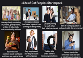 <<Life of Cat People» Starterpack Average family consisting of parents, grandparents, a litter of kitten-kids, and occasionally relatives Average workplace has boxes, toys and trees (colleagues enjoy them) CFAIR iStock Credit: b-bee Couples purring to each other, their tails intertwined 50% of world population is active at night, it's very normal Squirrels are a common snack worldwide and there are squirrel farms Dog people exist and they're equals with cat people Tucking tails under pants is necessary sometimes Various trends like <<Decorate ears and tail» or <<Best boxes to sleep in>>