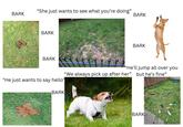 "She just wants to see what you're doing" BARK BARK BARK BARK "He just wants to say hello" BARK BARK "He'll jump all over you "We always pick up after her” but he's fine" BARK