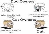 Dog Owners: What breed is that, Husky? No! That's an Alaskan Malamute!!! Cat Owners: Hey, What breed is he? Cat.