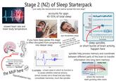 Stage 2 (N2) of Sleep Starterpack I just really like neuroscience and wanna spread the love okay? accounts for appr. 45-55% of total sleep Awake м slowed heart rate and lower body temperature EEG Stage 1 NREM Alpha Stage 2 NREM Theta wwwwww (sleep spindles; K-complexes) Stage 3 and 4 NREM 7 Hippocampus The word hippocampus comes from Ancient Greek - hippos "horse" and kampos "sea monster", and translates to "sea horse". the MVP here the NEURON family if you have sleep apnea this stage eye movement stops starts back up again is often disrupted from progressing during the REM stage into deeper sleep and that's where all the cool s--- happens so bear with me okay hypothalamus too voltage K-Complex time Sleep Spindle elta REMA 2 4 6 8 10 12 14 16 18 20 Time (seconds) sleep spindles, or short bursts of brain activity, happen here spindles help process memory and coordinate between different parts of the brain to transfer information into long-term memory k-complex - a brain wave in which its function is to assess whether external sensory stimuli (noises) are a threat and also helps. consolidate memories, much like spindles Effects of Bruxism Abfraction Gum Recession Healthy Teeth Attrition where the nocturnal teeth grinding often starts