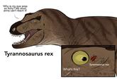 Why is my eye area so itchy? My short arms can't reach it! 0000000 aheatonic Tyrannosaurus rex O What's this? Tyrannasorus rex