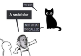 hey guys A racial slur NOT WHAT I'M CALLED 0.0