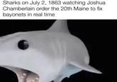 Sharks on July 2, 1863 watching Joshua Chamberlain order the 20th Maine to fix bayonets in real time