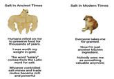 Salt in Ancient Times Salt in Modern Times Humans relied on me to preserve food for thousands of years. I was worth my weight in gold. The word "salary" comes from the Latin word for salt. Whoever controlled salt mines and trade routes became rich and powerful Everyone takes me for granted. Now I'm just another kitchen ingredient. Nobody sees me as something valuable anymore.