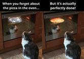 When you forget about the pizza in the oven... But it's actually perfectly done!