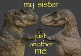 my sister just another me