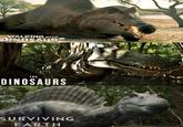 WALKING WITH DINOSAURS THE DINOSAURS SURVIVING EARTH
