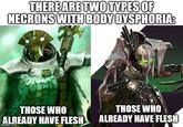 THERE ARE TWO TYPES OF NECRONS WITH BODY DYSPHORIA: THOSE WHO ALREADY HAVE FLESH imgflip.com THOSE WHO ALREADY HAVE FLESH