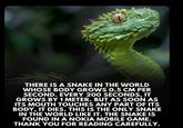 THERE IS A SNAKE IN THE WORLD WHOSE BODY GROWS 0.5 CM PER SECOND. EVERY 200 SECONDS, IT GROWS BY 1 METER. BUT AS SOON AS ITS MOUTH TOUCHES ANY PART OF ITS BODY, IT DIES. THIS IS THE ONLY SNAKE IN THE WORLD LIKE IT. THE SNAKE IS FOUND IN A NOKIA MOBILE GAME. THANK YOU FOR READING CAREFULLY.