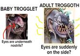 BABY TROGGLET ADULT TROGGOTH Eyes are underneath nostrils? Eyes are suddenly on the side?