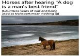 Horses after hearing "A dog is a man's best friend" (Countless years of war and being used as transport mean nothing ig)