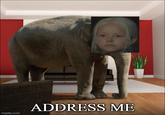 imgflip.com ADDRESS ME