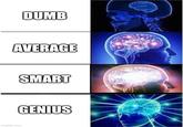 DUMB AVERAGE imgflip.com SMART GENIUS