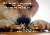 Some anthropologist wanting to find world peace imgflip.com Some 20 somethings he nearly killed multiple times
