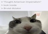 > "Fought American Imperialism" > look inside > Brutal dictator