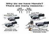 Why do we have Hands? There are many reasons: Pat the Grenade Crab Hold the Grenade Crab ENSETZEN Cherish the Grenade Crab Forfeit all Mortal Possessions to the Grenade Crab