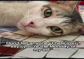 Don't tell anyone "I hate you", say "you're the Monday of my life"