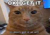OK I GET IT sadasscats (i don't get it at all)