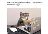 Me tracking the order I placed two minutes ago